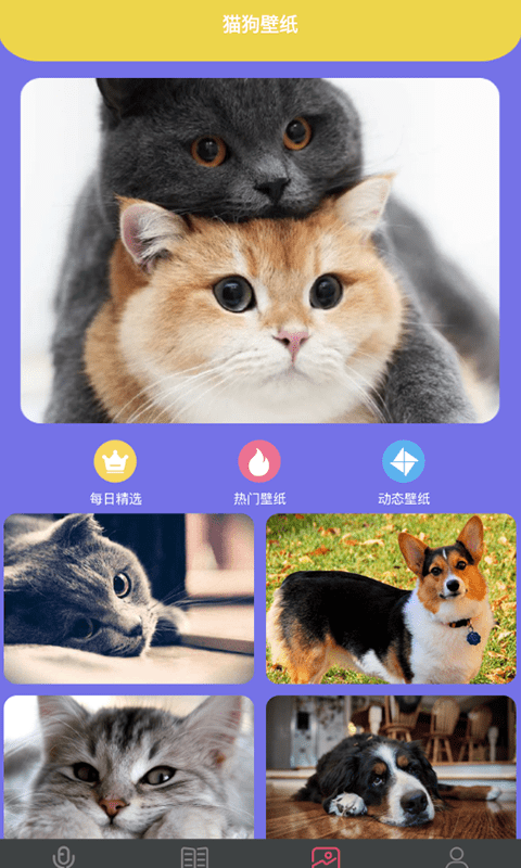 拆家特工队下载