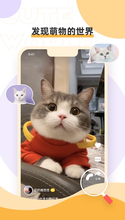 绒语官方版 绒语app下载