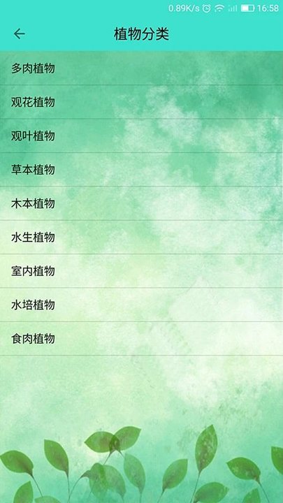 儿童识别植物大全