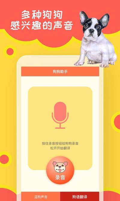 天天头条狗狗助手app