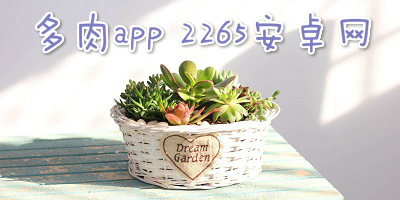 多肉app