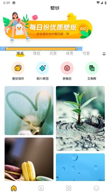 主题壁纸鸭app下载