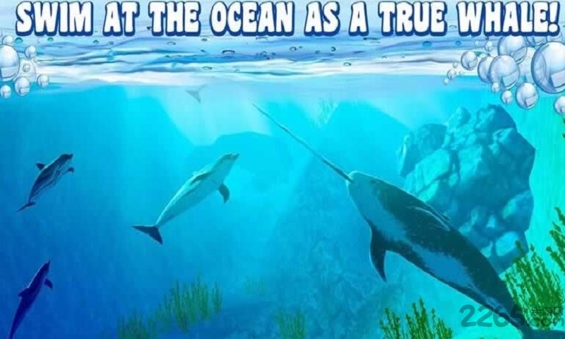 深海鱼模拟3D中文汉化版(Narwhal Simulator) 深海鱼模拟3D汉化版下载