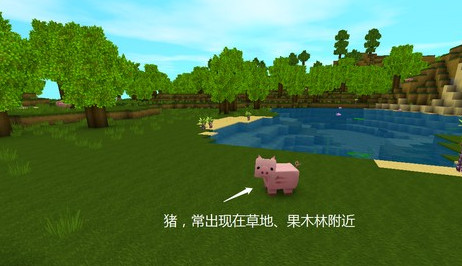 九游版迷你世界新手攻略