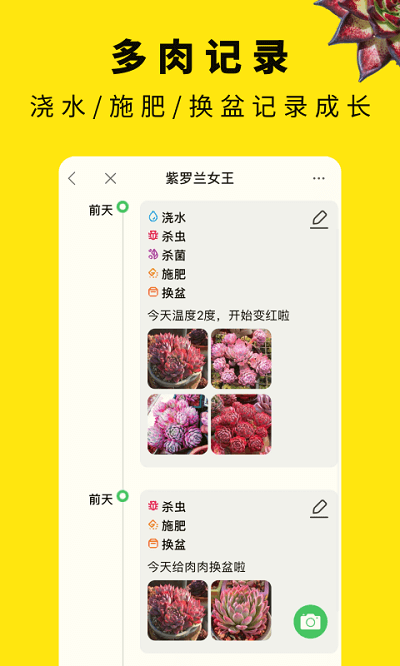 多肉圈app下载