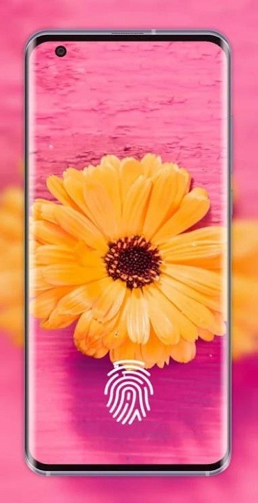 in display 指纹官方版