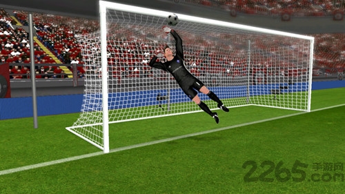 梦幻足球联盟中文破解版