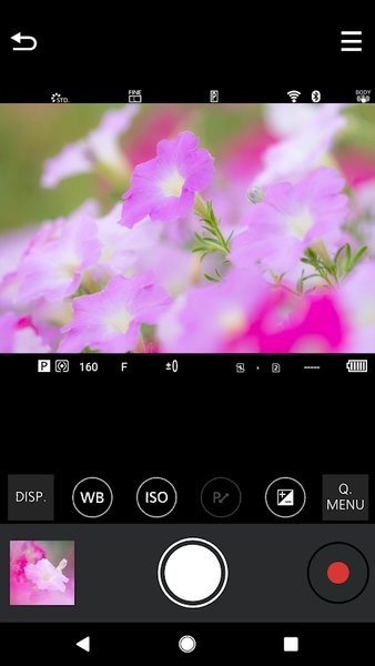 lumix sync app
