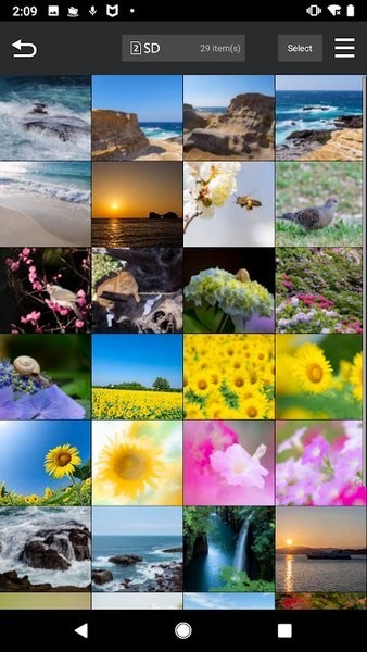 lumix sync app