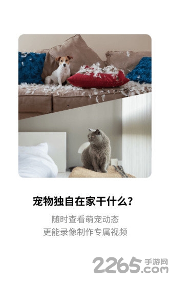 腾讯慧看家app官方最新版