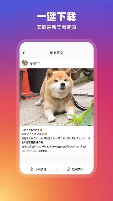 ins订阅器app ins订阅器软件下载