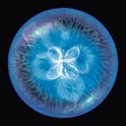 星噬中文版下载-星噬安卓版下载安装最新版本