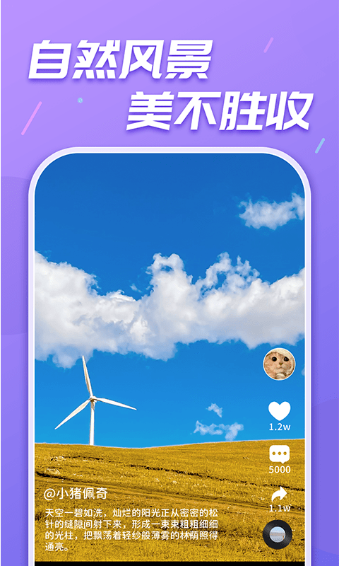 天天乐刷刷安卓版