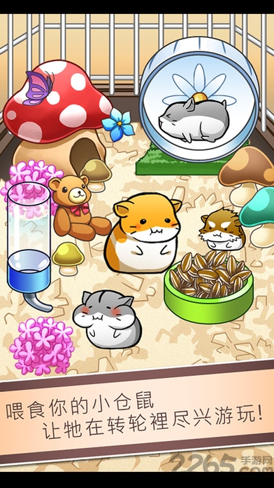 仓鼠养成无限金币破解版