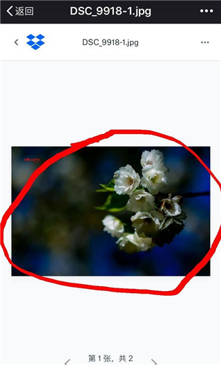 dropbox 保存图片教程