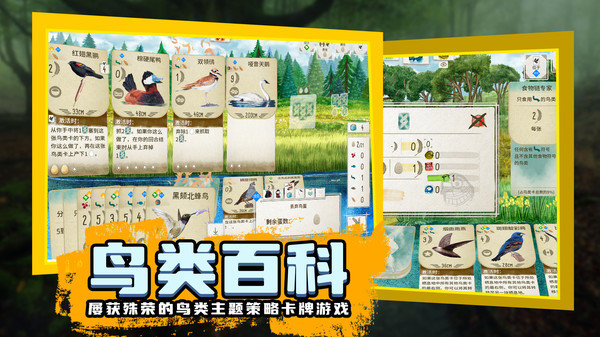 鸟类观察家最新版