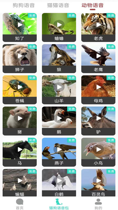 多多猫语狗语翻译器官方版