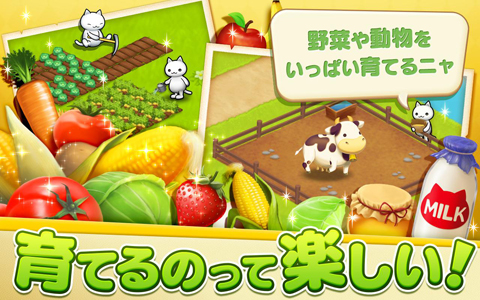 星星岛猫咪手机版下载