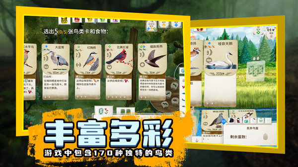 鸟类观察家最新版