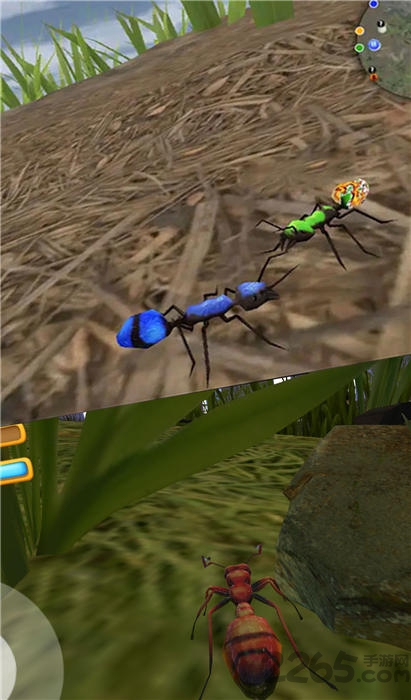 蚂蚁荒野生存模拟无限金币版