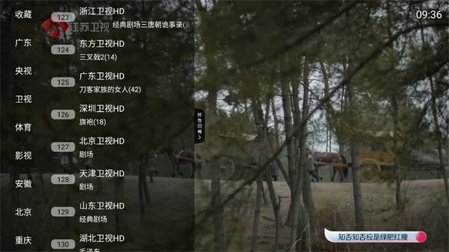 云帆直播电视版