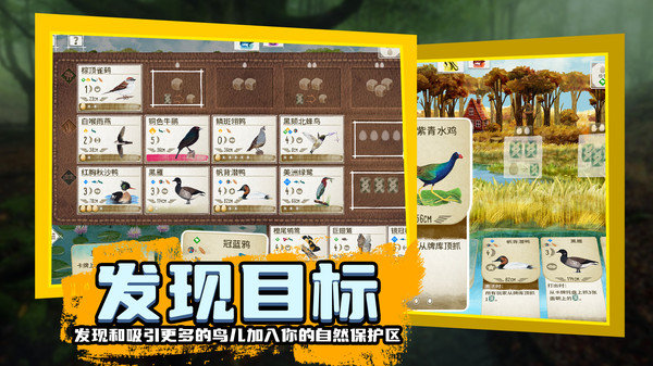 鸟类观察家最新版