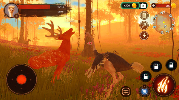 鸵鸟模拟器中文版