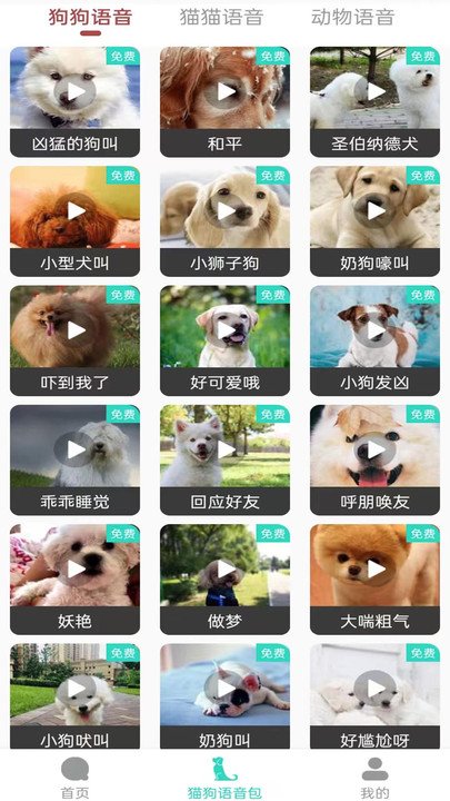 多多猫语狗语翻译器app下载