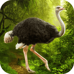 鸵鸟模拟器中文版