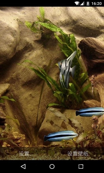 水族馆动态壁纸中文版