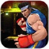 功夫战士拳皇手机版