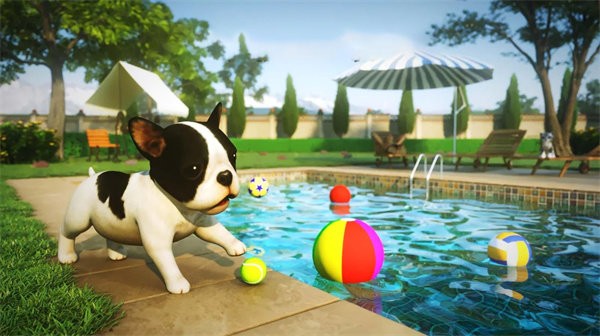 动物生存模拟手机版