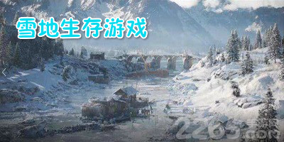 雪地生存游戏