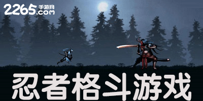 忍者格斗游戏