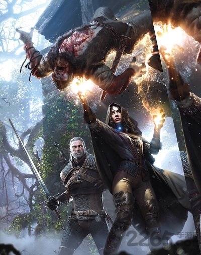 巫师3手游汉化版