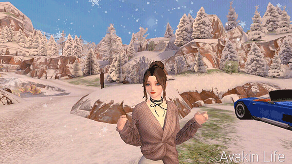 Avakin虚拟世界捏脸数据分析 Avakin虚拟世界捏脸数据大全