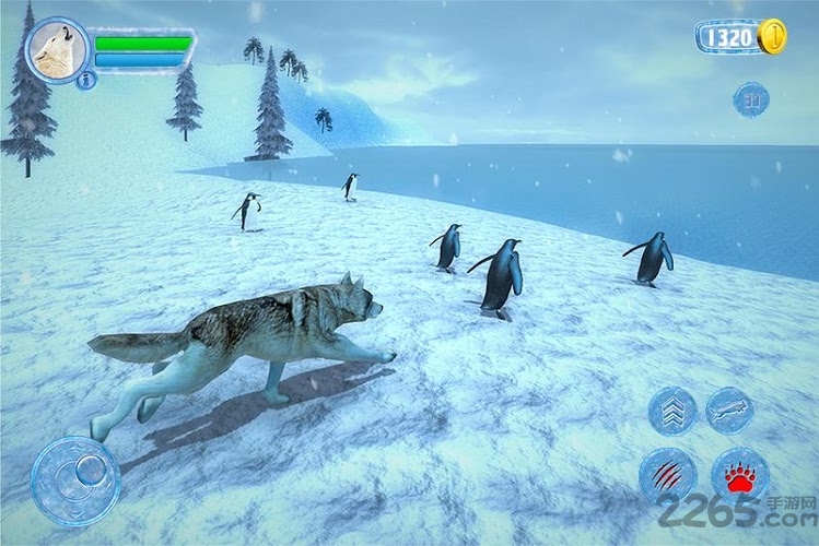 北极狼群3d最新版