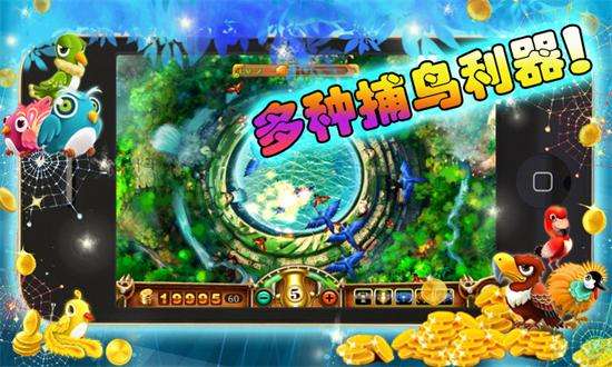 捕鸟达人旧版