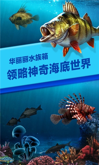 钓鱼时代官方版