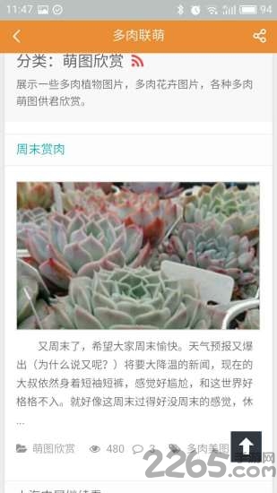 多肉联萌手机版下载