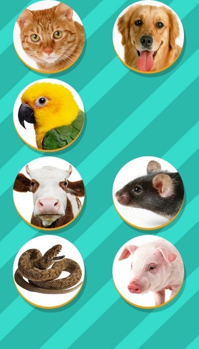 鸟语翻译器app(pet translator)