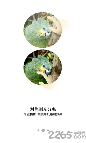 努比亚相机移植版下载